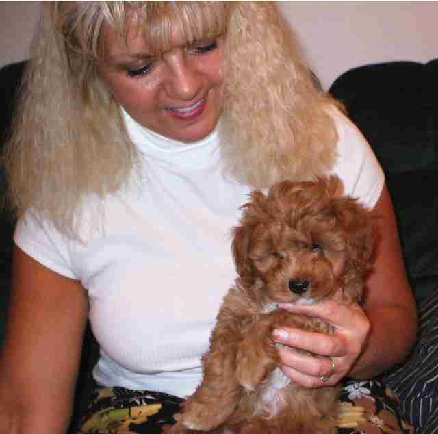 Jane holding a Maltipoo pup Jane holding a Maltipoo pup