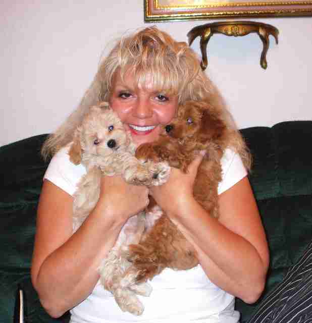 A smiling woman, Cathy, holding two Maltipoo puppies close to her face—one light apricot and one deep red. This is the gold standard for apricot and red Maltipoos for sale.